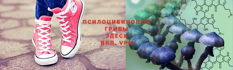 цена   Игарка  мега зеркало  Псилоцибиновые грибы Cubensis 